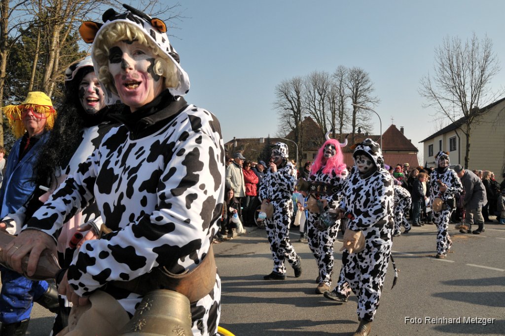2011-03-08_035 Faschingszug_RM.jpg
